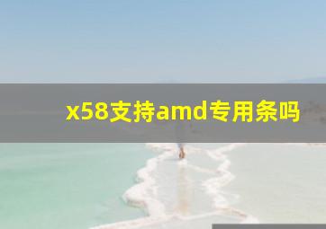 x58支持amd专用条吗