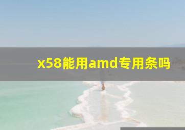 x58能用amd专用条吗