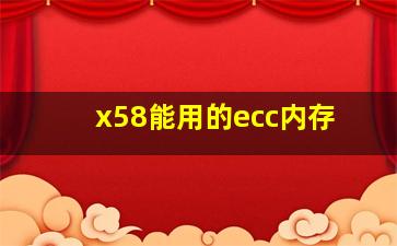 x58能用的ecc内存