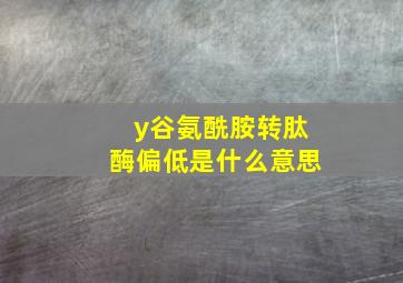 y谷氨酰胺转肽酶偏低是什么意思