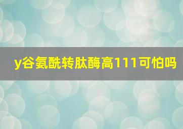 y谷氨酰转肽酶高111可怕吗