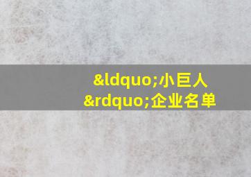 “小巨人”企业名单