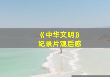 《中华文明》纪录片观后感