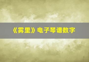 《雾里》电子琴谱数字