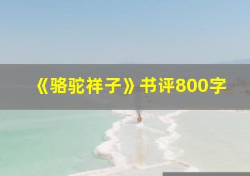 《骆驼祥子》书评800字