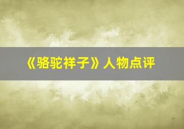 《骆驼祥子》人物点评