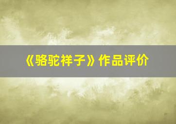 《骆驼祥子》作品评价