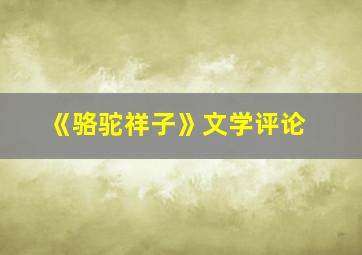 《骆驼祥子》文学评论