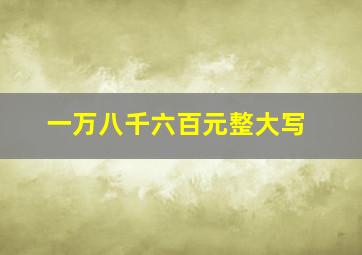 一万八千六百元整大写