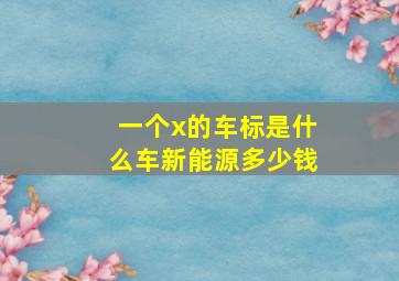 一个x的车标是什么车新能源多少钱