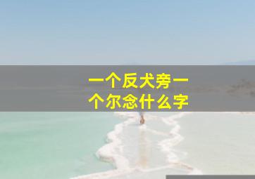 一个反犬旁一个尔念什么字