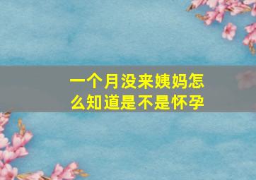 一个月没来姨妈怎么知道是不是怀孕