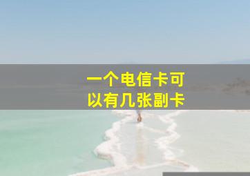 一个电信卡可以有几张副卡