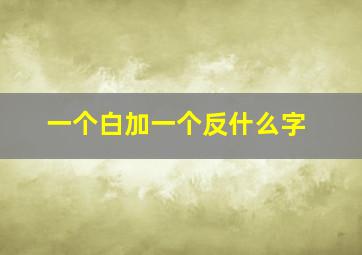 一个白加一个反什么字