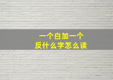 一个白加一个反什么字怎么读