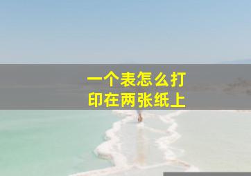 一个表怎么打印在两张纸上