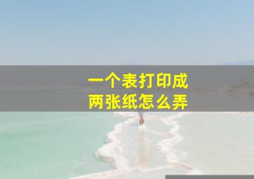 一个表打印成两张纸怎么弄