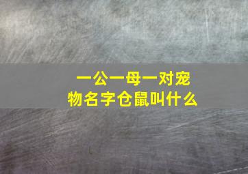 一公一母一对宠物名字仓鼠叫什么