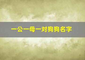 一公一母一对狗狗名字