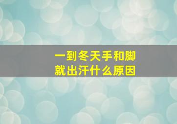 一到冬天手和脚就出汗什么原因