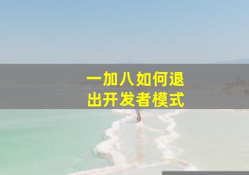 一加八如何退出开发者模式