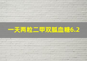 一天两粒二甲双胍血糖6.2