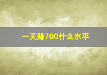 一天赚700什么水平