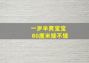 一岁半男宝宝80厘米矮不矮