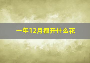 一年12月都开什么花