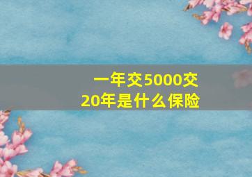 一年交5000交20年是什么保险