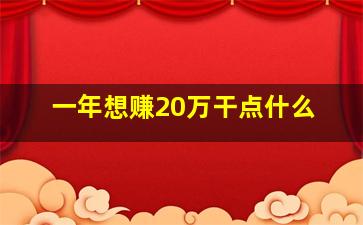 一年想赚20万干点什么