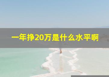 一年挣20万是什么水平啊