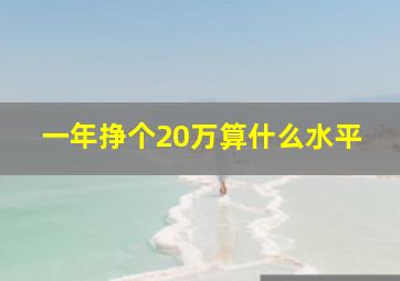 一年挣个20万算什么水平