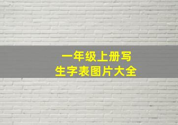 一年级上册写生字表图片大全