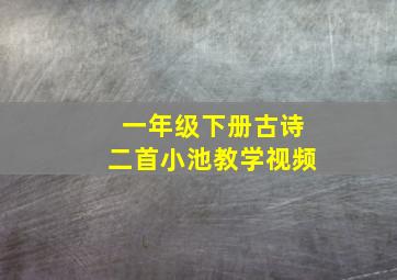 一年级下册古诗二首小池教学视频