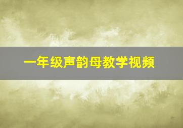 一年级声韵母教学视频