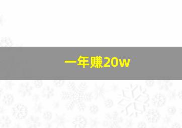 一年赚20w