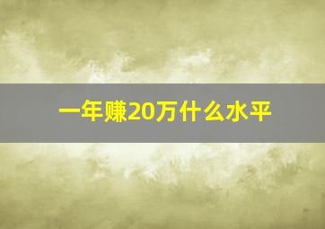 一年赚20万什么水平