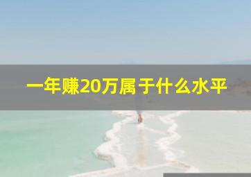 一年赚20万属于什么水平