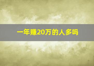 一年赚20万的人多吗