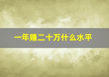 一年赚二十万什么水平