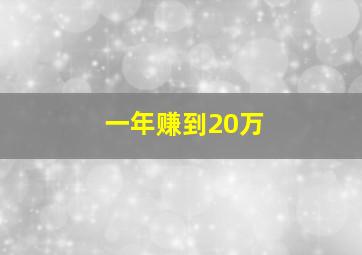 一年赚到20万