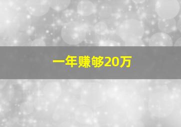 一年赚够20万