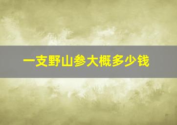 一支野山参大概多少钱