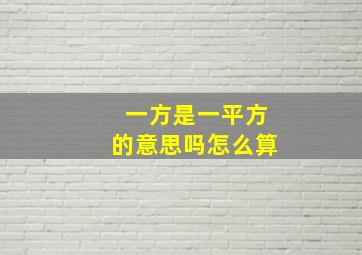 一方是一平方的意思吗怎么算