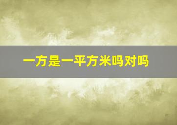 一方是一平方米吗对吗