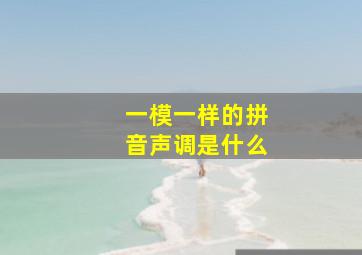 一模一样的拼音声调是什么