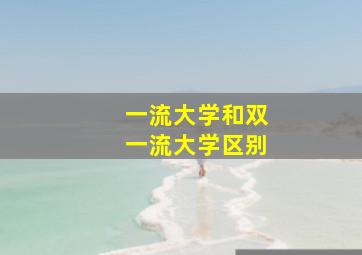 一流大学和双一流大学区别