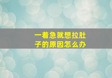 一着急就想拉肚子的原因怎么办