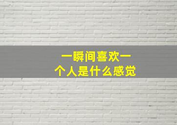 一瞬间喜欢一个人是什么感觉